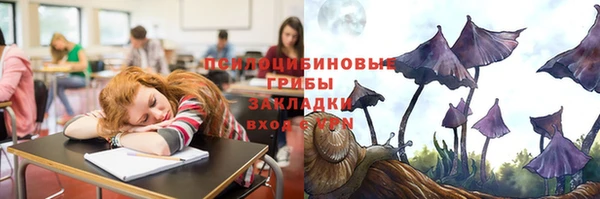 прущие крисы Белокуриха
