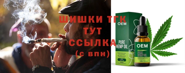 прущие крисы Белокуриха