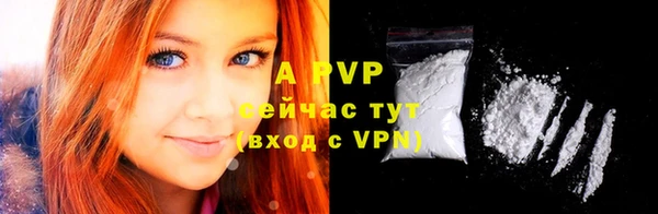 прущие крисы Белокуриха