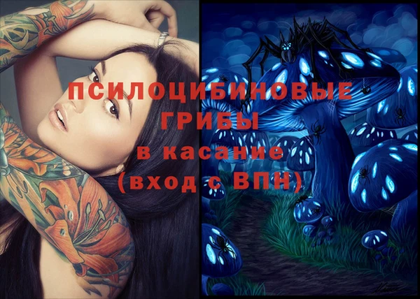 прущие крисы Белокуриха