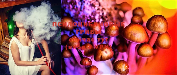 прущие крисы Белокуриха
