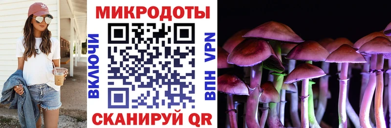 где продают наркотики  Нижняя Тура  блэк спрут ссылки  Псилоцибиновые грибы Magic Shrooms 